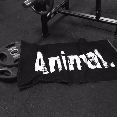 Universal Nutrition Animal Gym Towel